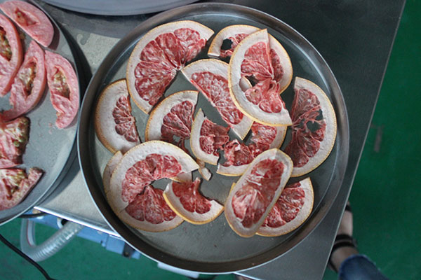 冷凍干燥機 冷凍干燥機