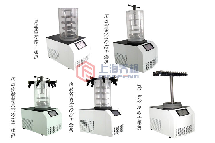 實驗型真空冷凍干燥機 實驗型真空冷凍干燥機